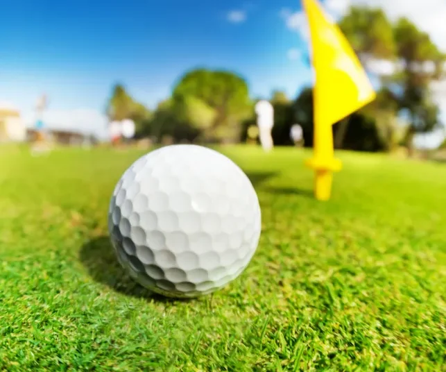 Golf Basics for Beginners: A Friendly Guide to Playing by the Rules