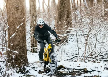 Essential Tips for Protecting Your Bike During Winter