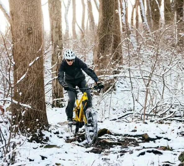 Essential Tips for Protecting Your Bike During Winter
