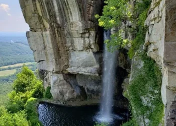 Discover the Best Athletic Adventures in Chattanooga